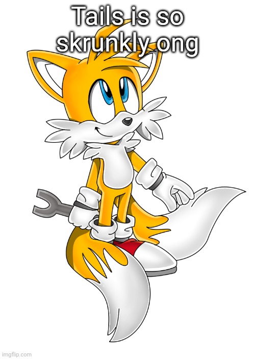 Tails is so skrunkly ong | image tagged in tails holding a wrench | made w/ Imgflip meme maker