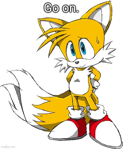 Go on. | image tagged in tails | made w/ Imgflip meme maker