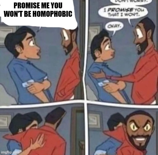 promise me you wont blank | PROMISE ME YOU WON'T BE HOMOPHOBIC | image tagged in promise me you wont blank | made w/ Imgflip meme maker
