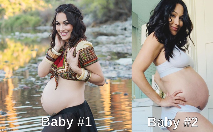 Pregnant brie bella is the best | Baby #2; Baby #1 | image tagged in pregnant,first child,second child,brie bella,big belly | made w/ Imgflip meme maker