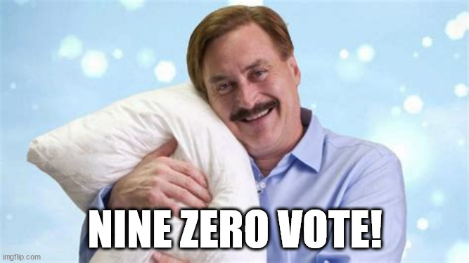 ZZZZZZzzzzzzzzzzzz.......... | NINE ZERO VOTE! | image tagged in pilllow man | made w/ Imgflip meme maker