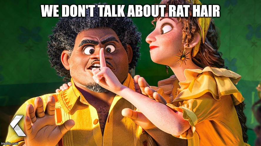 We Don't Talk about Bruno | WE DON'T TALK ABOUT RAT HAIR | image tagged in we don't talk about bruno | made w/ Imgflip meme maker