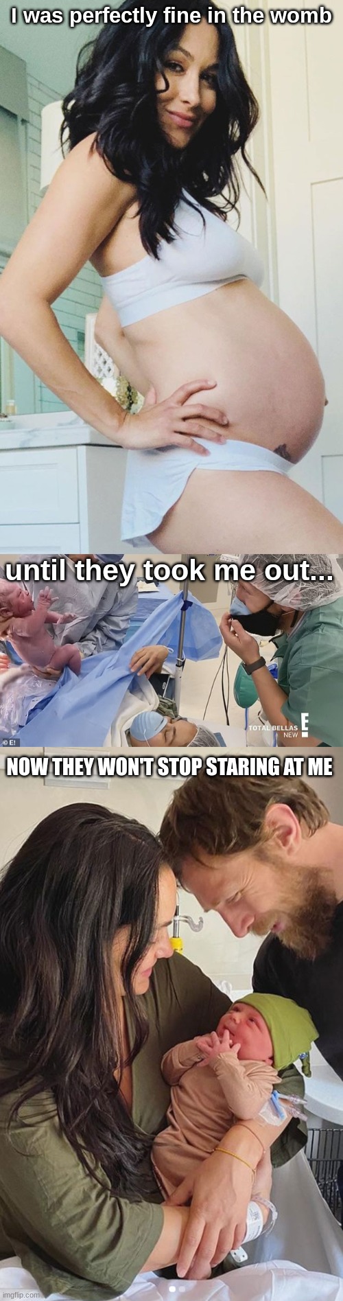 the birth of buddy | I was perfectly fine in the womb; until they took me out... NOW THEY WON'T STOP STARING AT ME | image tagged in pregnant,birth,brie bella | made w/ Imgflip meme maker