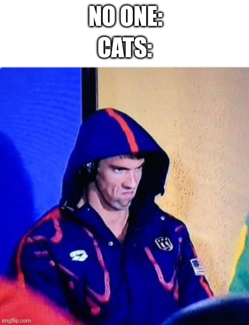 Michael Phelps Death Stare Meme | NO ONE:; CATS: | image tagged in memes,michael phelps death stare,cats,meme | made w/ Imgflip meme maker