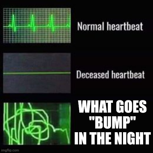 Hi just getting into the spooky spirit | WHAT GOES "BUMP" IN THE NIGHT | image tagged in heartbeat rate,bump,memes,meme | made w/ Imgflip meme maker