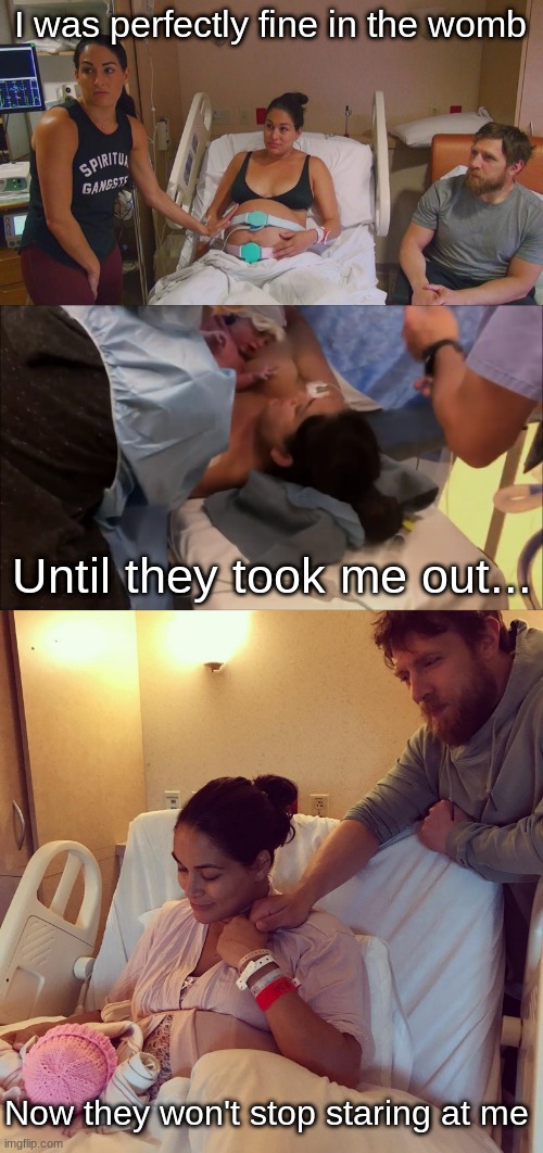 the birth of birdie | I was perfectly fine in the womb; Until they took me out... Now they won't stop staring at me | image tagged in pregnant,birth,brie bella | made w/ Imgflip meme maker