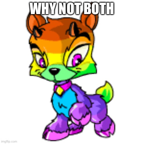 WHY NOT BOTH | made w/ Imgflip meme maker