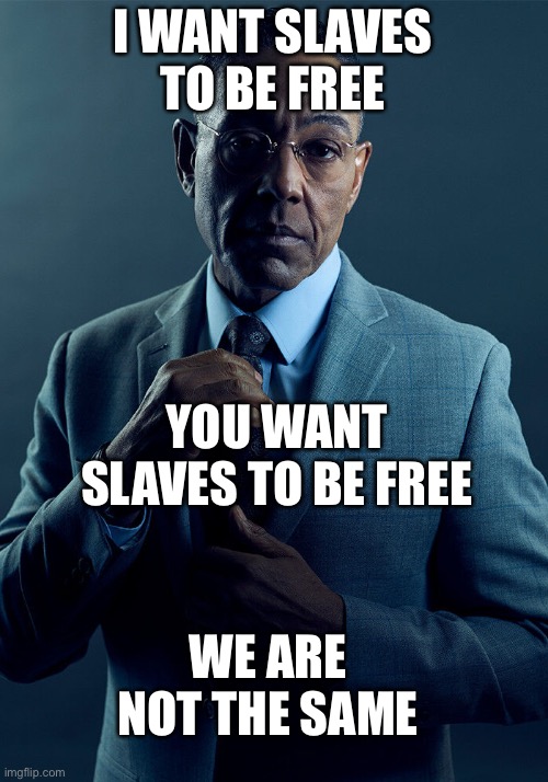 Insert Funny and Relevant Title Here | I WANT SLAVES TO BE FREE; YOU WANT SLAVES TO BE FREE; WE ARE NOT THE SAME | image tagged in gus fring we are not the same,dark humor | made w/ Imgflip meme maker
