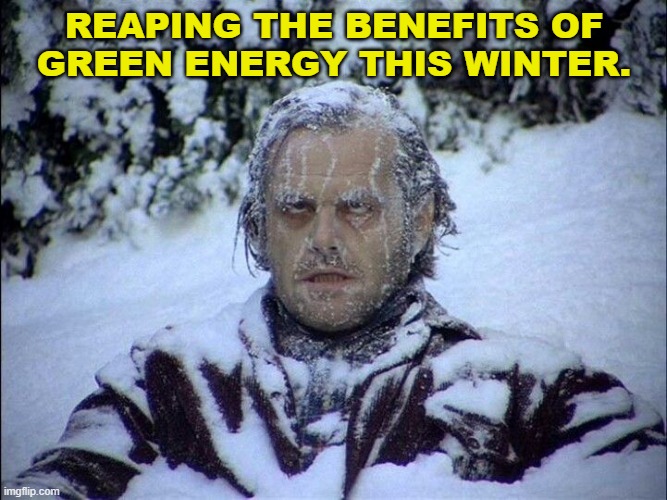 Frozen | REAPING THE BENEFITS OF
GREEN ENERGY THIS WINTER. | image tagged in frozen | made w/ Imgflip meme maker
