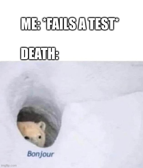 Bonjour | ME: *FAILS A TEST* DEATH: | image tagged in bonjour | made w/ Imgflip meme maker