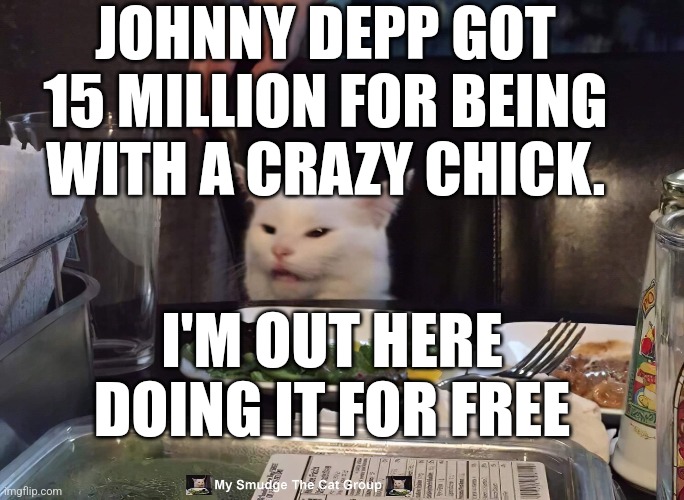 JOHNNY DEPP GOT 15 MILLION FOR BEING WITH A CRAZY CHICK. I'M OUT HERE DOING IT FOR FREE | image tagged in smudge the cat | made w/ Imgflip meme maker