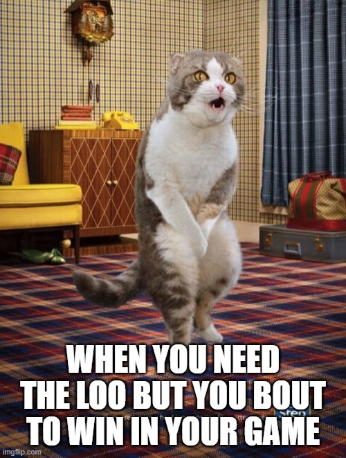 cat meme | WHEN YOU NEED THE LOO BUT YOU BOUT TO WIN IN YOUR GAME | image tagged in memes,gotta go cat | made w/ Imgflip meme maker