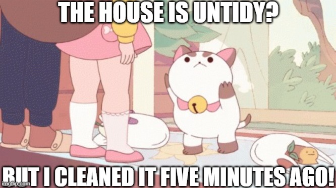 The House is Untidy?! | THE HOUSE IS UNTIDY? BUT I CLEANED IT FIVE MINUTES AGO! | image tagged in puppycat demands you pick up his groceries,puppycat,untidy,housework,i cleaned it five minutes ago,bee and puppycat | made w/ Imgflip meme maker