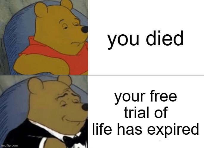 your free trial of life has expired | you died; your free trial of life has expired | image tagged in memes,tuxedo winnie the pooh | made w/ Imgflip meme maker