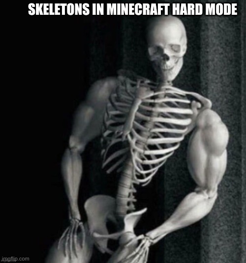 Chad skeleton | SKELETONS IN MINECRAFT HARD MODE | image tagged in chad skeleton | made w/ Imgflip meme maker