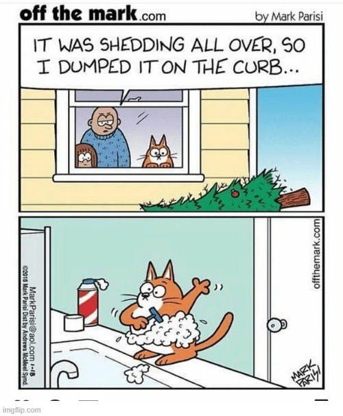 image tagged in memes,comics,christmas tree,get out,cats,shaving | made w/ Imgflip meme maker