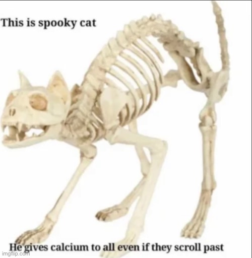 we have a lack of calcium, fix that | image tagged in memes,unfunny | made w/ Imgflip meme maker