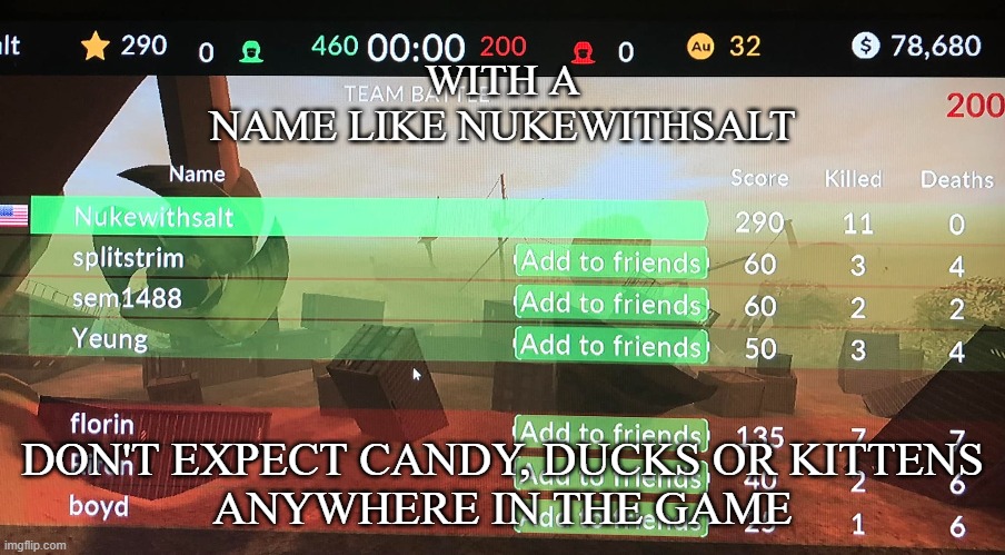 Gamer | WITH A NAME LIKE NUKEWITHSALT; DON'T EXPECT CANDY, DUCKS OR KITTENS
ANYWHERE IN THE GAME | image tagged in online gaming | made w/ Imgflip meme maker