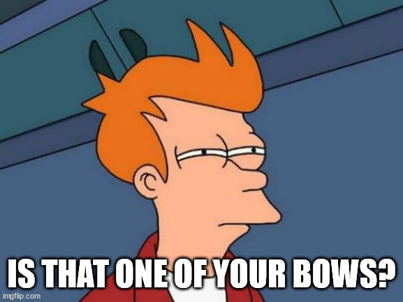 Futurama Fry Meme | IS THAT ONE OF YOUR BOWS? | image tagged in memes,futurama fry | made w/ Imgflip meme maker