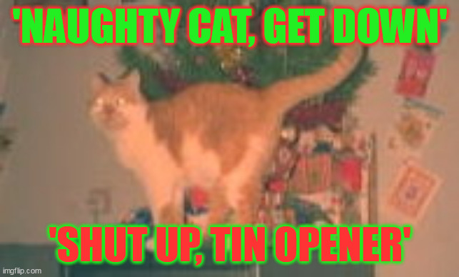 Tin Opener | 'NAUGHTY CAT, GET DOWN'; 'SHUT UP, TIN OPENER' | image tagged in cat,tin opener,naughty | made w/ Imgflip meme maker