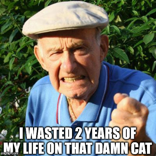 angry old man | I WASTED 2 YEARS OF MY LIFE ON THAT DAMN CAT | image tagged in angry old man | made w/ Imgflip meme maker