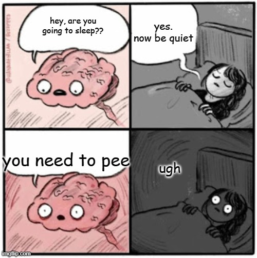 whyy | yes. now be quiet; hey, are you going to sleep?? you need to pee; ugh | image tagged in brain before sleep | made w/ Imgflip meme maker