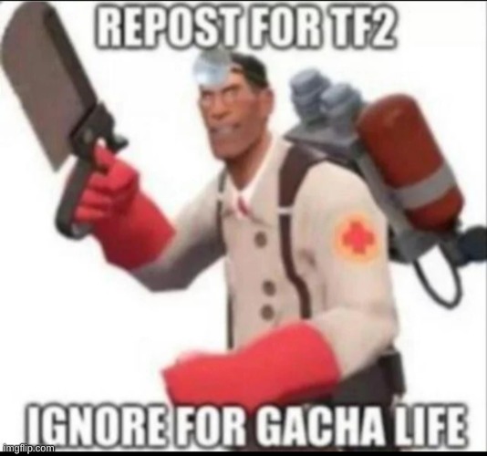 i don't even play 2 fort | image tagged in repost | made w/ Imgflip meme maker