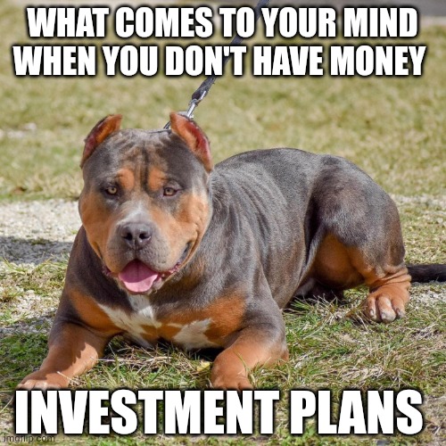 https://balliah.com/ | WHAT COMES TO YOUR MIND WHEN YOU DON'T HAVE MONEY; INVESTMENT PLANS | image tagged in plans | made w/ Imgflip meme maker