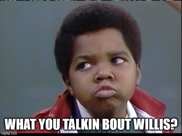 what you talkin bout willis? | WHAT YOU TALKIN BOUT WILLIS? | image tagged in what you talkin bout willis | made w/ Imgflip meme maker