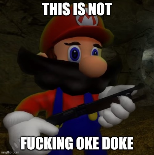 Mario with Shotgun | THIS IS NOT FUCKING OKE DOKE | image tagged in mario with shotgun | made w/ Imgflip meme maker