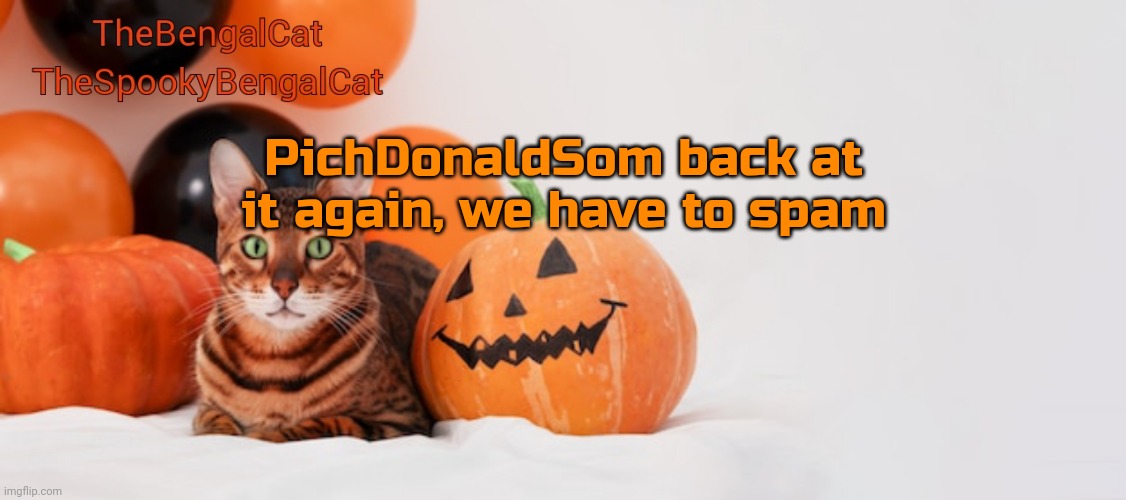 TheSpookyBengalCat annoucment template | PichDonaldSom back at it again, we have to spam | image tagged in thespookybengalcat annoucment template | made w/ Imgflip meme maker