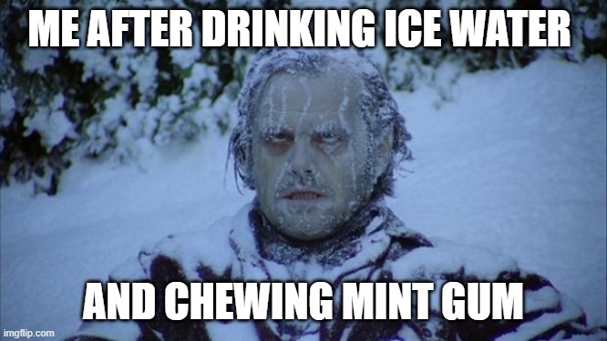 Cold | ME AFTER DRINKING ICE WATER; AND CHEWING MINT GUM | image tagged in cold | made w/ Imgflip meme maker