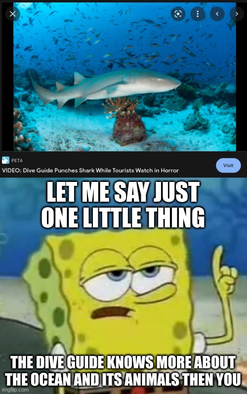 The only reason that a dive guide would punch a shark would be if it's exhibiting behavior leading to an attack. He was trying t | LET ME SAY JUST ONE LITTLE THING; THE DIVE GUIDE KNOWS MORE ABOUT THE OCEAN AND ITS ANIMALS THEN YOU | image tagged in memes,i'll have you know spongebob,shark,peta,scuba diving | made w/ Imgflip meme maker