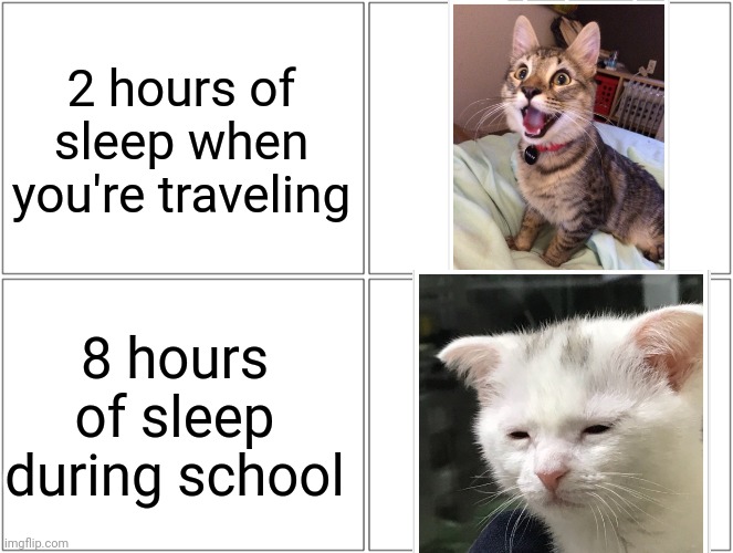 Me fr | 2 hours of sleep when you're traveling; 8 hours of sleep during school | image tagged in memes,blank comic panel 2x2,traveling,school,cats,sleep | made w/ Imgflip meme maker