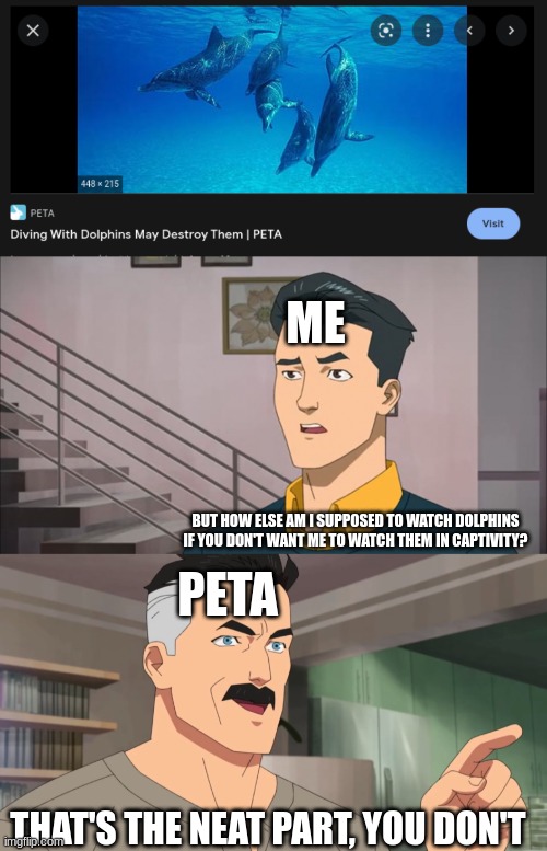 How else am I going to see dolphins? Oh right...I don't have to obey PETA's stupidity. | ME; BUT HOW ELSE AM I SUPPOSED TO WATCH DOLPHINS IF YOU DON'T WANT ME TO WATCH THEM IN CAPTIVITY? PETA; THAT'S THE NEAT PART, YOU DON'T | image tagged in that's the neat part you don't,peta,scuba diving | made w/ Imgflip meme maker