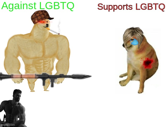 True | Against LGBTQ; Supports LGBTQ | image tagged in memes,buff doge vs cheems | made w/ Imgflip meme maker