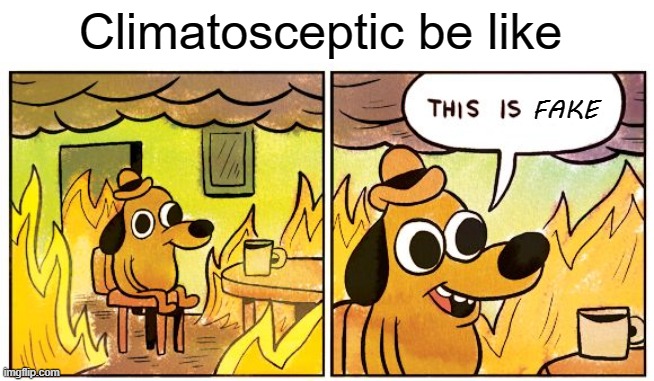 2022 | Climatosceptic be like; FAKE | image tagged in memes,this is fine | made w/ Imgflip meme maker