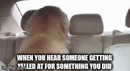 Does anyone else feel the same thing when this happens? - Imgflip