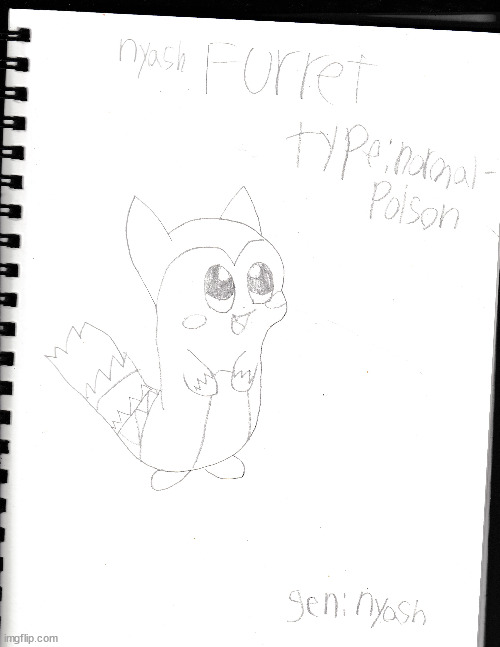 nyash furret; the rainbow pokemon. they may look cute on the outside but their actually very deadly they were dipped in acid | made w/ Imgflip meme maker
