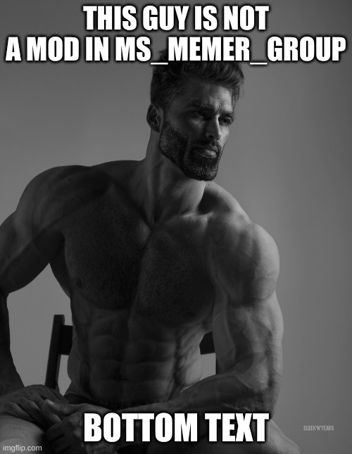 Giga Chad | THIS GUY IS NOT A MOD IN MS_MEMER_GROUP; BOTTOM TEXT | image tagged in giga chad | made w/ Imgflip meme maker