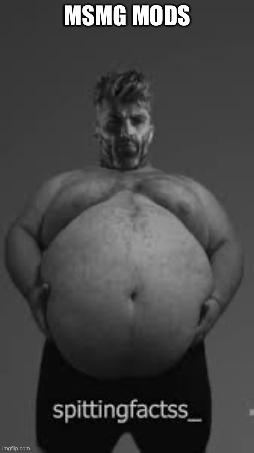 Fat Gigachad | MSMG MODS | image tagged in fat gigachad | made w/ Imgflip meme maker