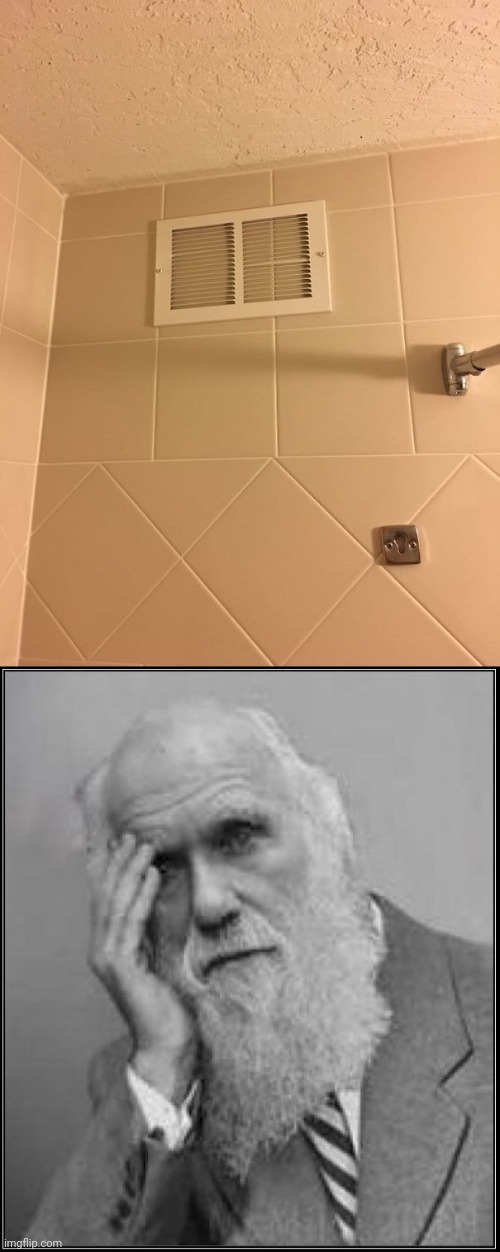Construction fail | image tagged in darwin facepalm,bathroom,shower,you had one job,memes,wall | made w/ Imgflip meme maker