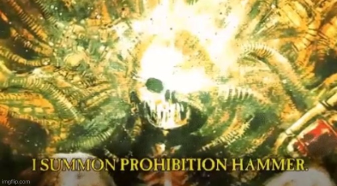 I summon prohibition hammer | image tagged in i summon prohibition hammer | made w/ Imgflip meme maker