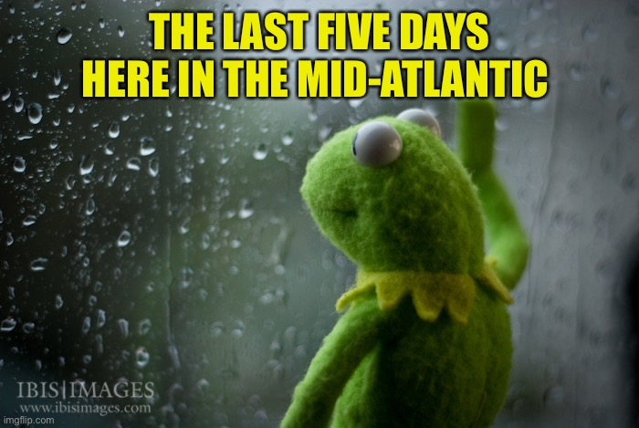 Kermit the frog rainy day | THE LAST FIVE DAYS HERE IN THE MID-ATLANTIC | image tagged in kermit the frog rainy day | made w/ Imgflip meme maker