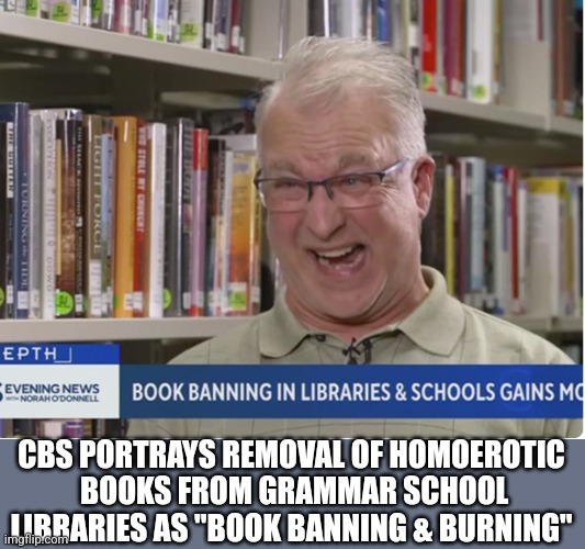 Yes, this pic is from the actual story | CBS PORTRAYS REMOVAL OF HOMOEROTIC
 BOOKS FROM GRAMMAR SCHOOL LIBRARIES AS "BOOK BANNING & BURNING" | image tagged in funny memes | made w/ Imgflip meme maker