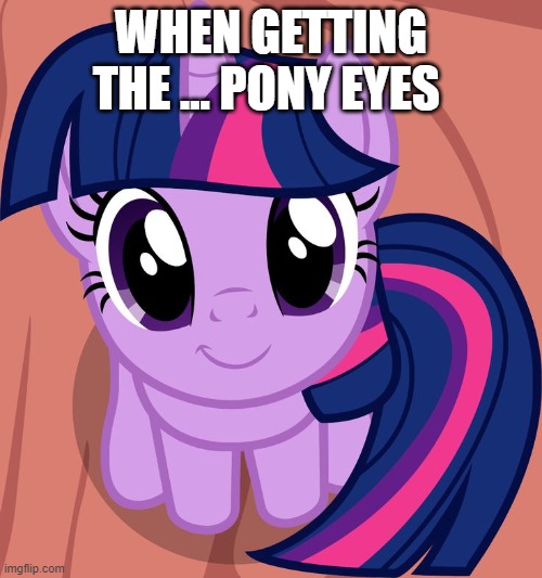 aw it so cute | WHEN GETTING THE ... PONY EYES | image tagged in twilight is interested | made w/ Imgflip meme maker