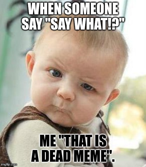Confused Baby | WHEN SOMEONE SAY "SAY WHAT!?"; ME "THAT IS A DEAD MEME". | image tagged in confused baby | made w/ Imgflip meme maker