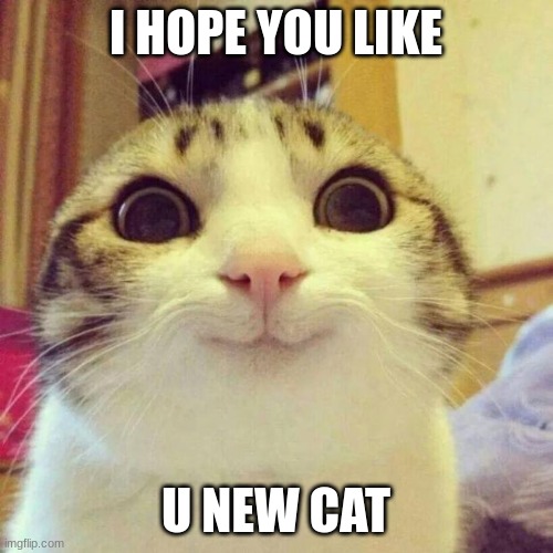 Smiling Cat Meme | I HOPE YOU LIKE U NEW CAT | image tagged in memes,smiling cat | made w/ Imgflip meme maker