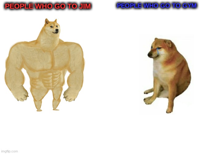 strong doge | PEOPLE WHO GO TO JIM; PEOPLE WHO GO TO GYM | image tagged in memes,buff doge vs cheems,lol,lol so funny,funny,funny meme | made w/ Imgflip meme maker