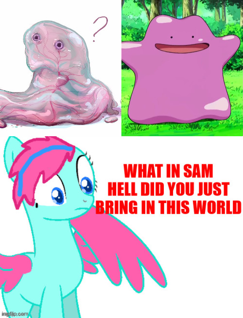 image tagged in what in sam hell did you just bring in this world | made w/ Imgflip meme maker